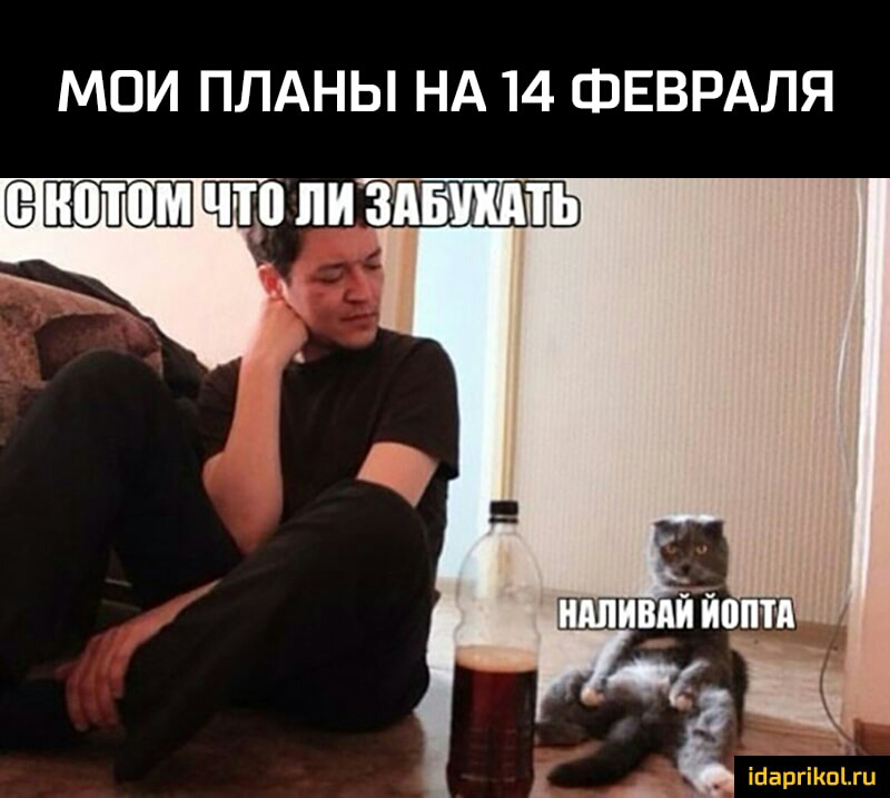 МОИ ПЛАНЫ НА 14 ФЕВРАЛЯ