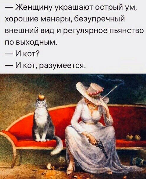 Женщину украшают острый ум хорошие манеры безупречный внешний вид и регулярное пьянство по выходным И кот И кот разумеется