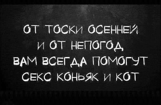 ОТ тоски ОСЕННЕИ и от непогоА ВАМ ВСЕГАА ПОМОГНТ СЕКС коньяк и кот