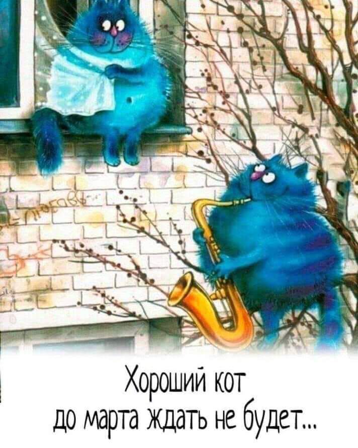 Хороший кот до марта Ждать небудет