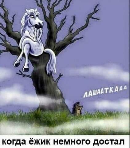 _ Щи когда ёЖИК немного достал