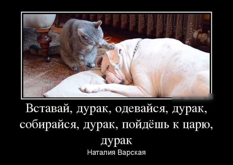 Вставай дурак одевайся дурак собирайся дурак пойдёшь к царю дурак Натап ия Ва рская