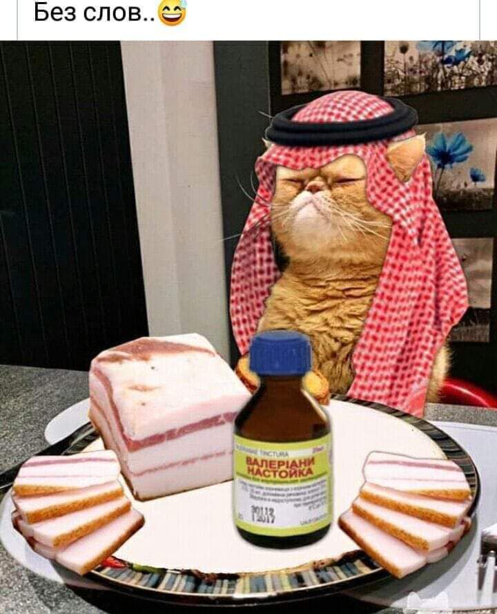 _и Без слов