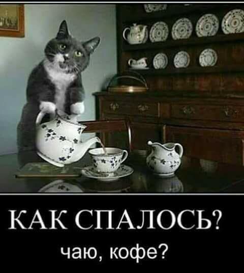 2 КАК СПАЛОСЬ чаю кофе