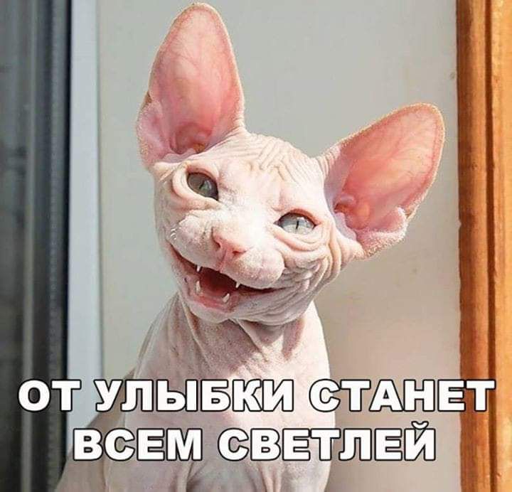 _всёцшді ВЁТШЁЕЁ