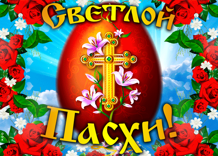 тікток иэегеіепафі