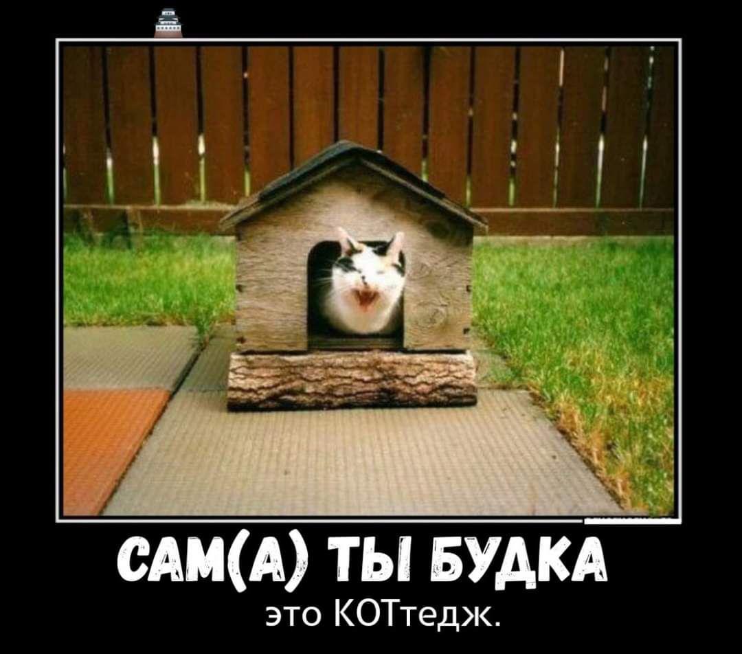 1 едим ты БУАКА это КОТтедж