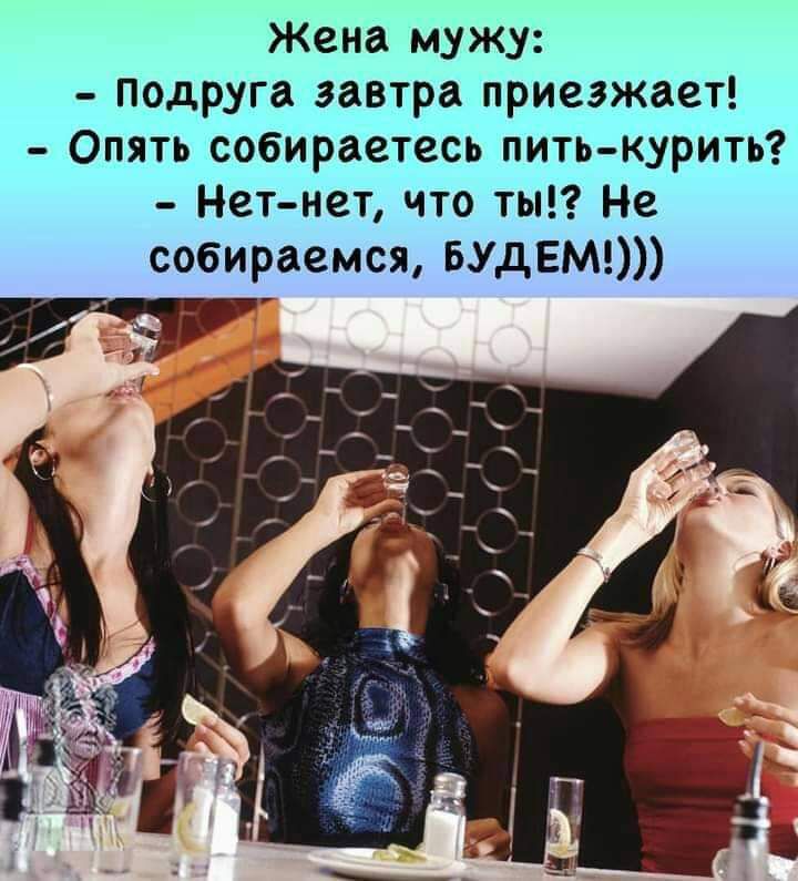 Жена мужу подруга завтра приезжает Опять собираетесь пить курить Нетнет что ты Не собираемся БУдЕМ ТТ
