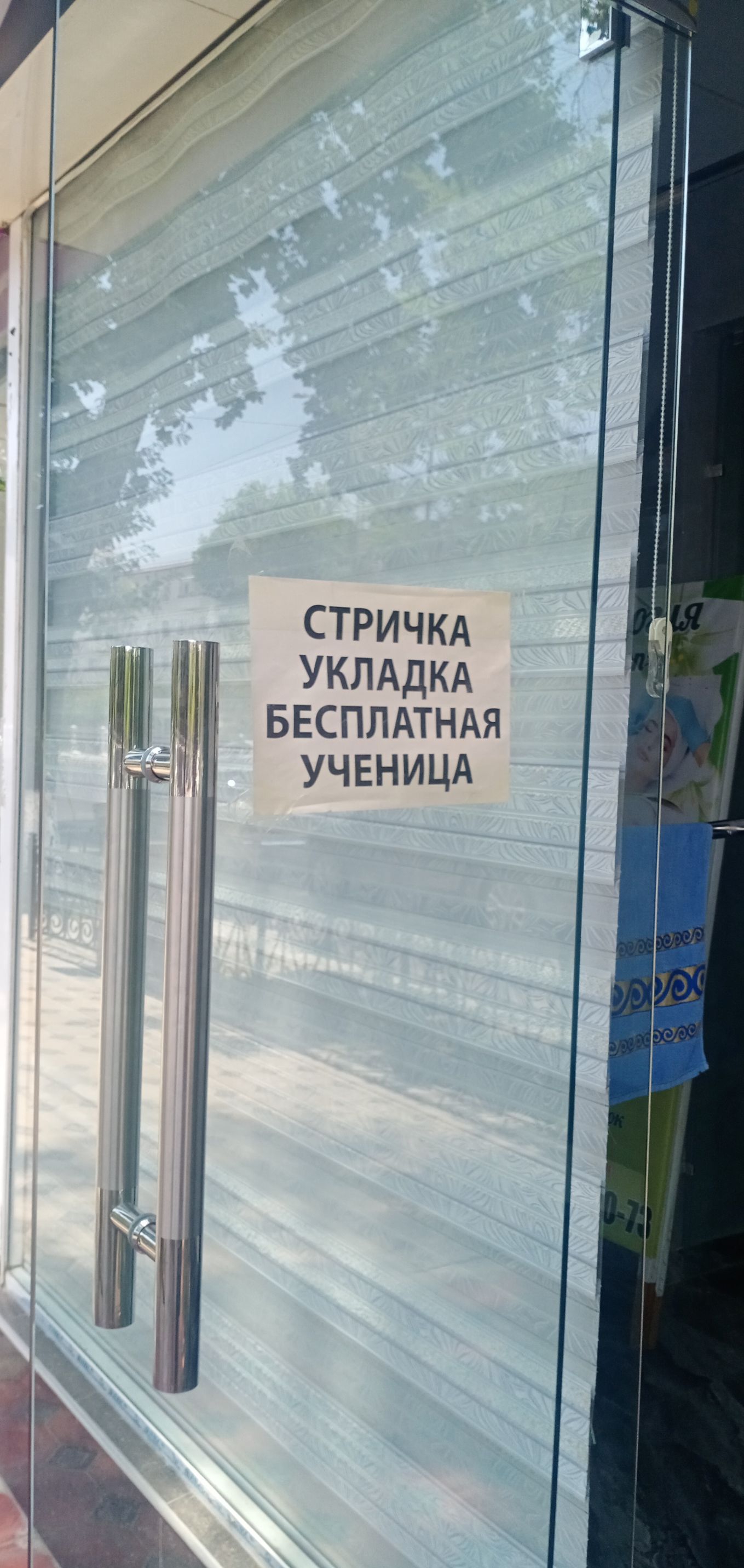 стричкд уклддкд БЕСПЛАТНАЯ УЧЕНИЦА