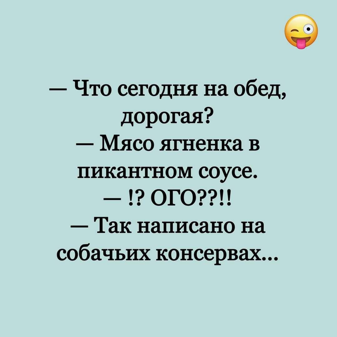 Что сегодня на обед дорогая Мясо ягненка в пикантном соусе ОГО Так написано на собачьих консервах