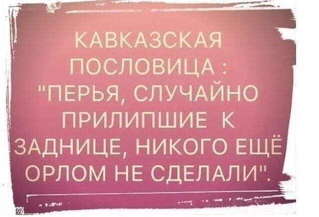 КАВКАЗСКАЯ ПОСЛОВИЦА ПЕРЬЯСЛУЧАЙНО ПРИПИПШИЕ К ЗАДНИЦЕ НИКОГО ЕЩЕ ОРЛОМ НЕ СДЕЛАЛИ