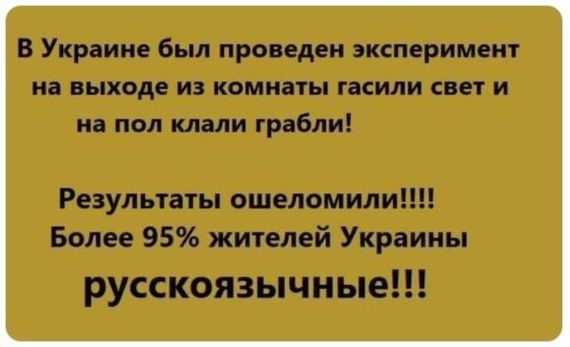 В Украине был проведен эксперимент на выходе из комнаты гасили свет и на пол клали грабли Результаты ошеломили Более 95 жителей Украины русскоязычные