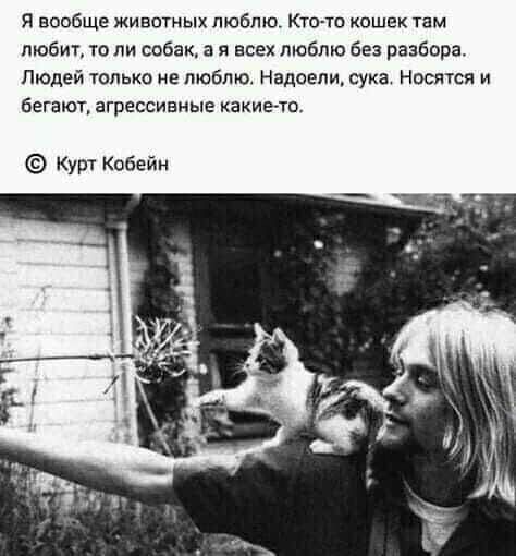 Я вообще животных люблю Кто то кошек там пюбиг то ли собак а я всех люблю без разбора Людей юлько не люблю Надоели сука носятся и бегают агрессивные какие то Курт Кобейн