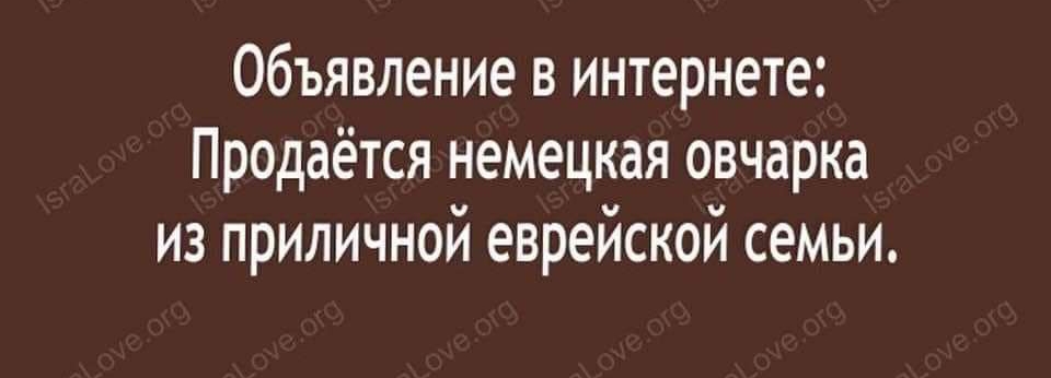 Объявление в интернете Продаётся немецкая овчарка из приличной еврейской семьи