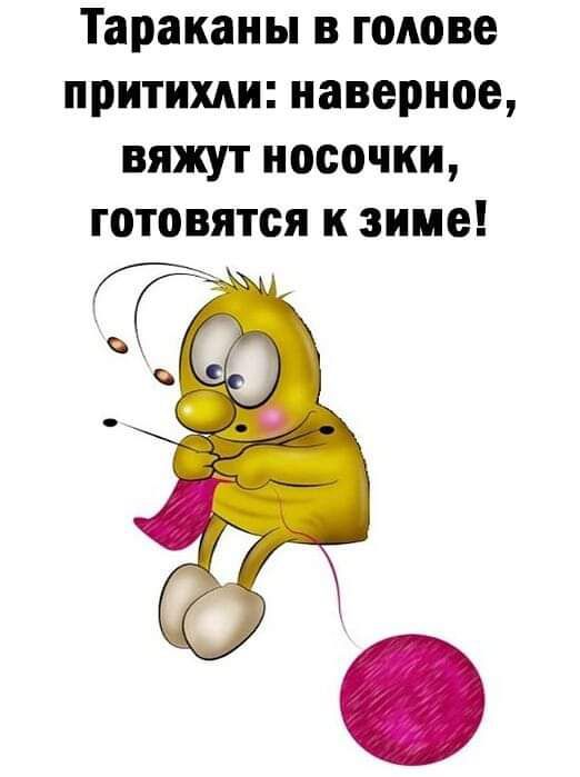 Тараканы в голове притихли наверное вяжут носочки готовятся к зиме