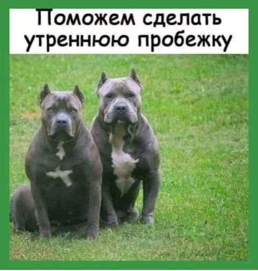 сможем сделать утреннюю пробежку И я ж _а