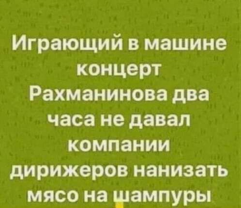 Играющий в машине концерт Рахманинова два часа не давал компании дирижеров нанизать мясо на шампуры