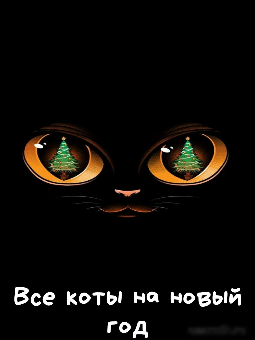 99 у Все коты но новый год