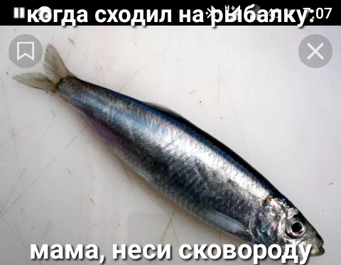 квг_а схо_ ил на Ыбалк 07 мамы МЭШ 35