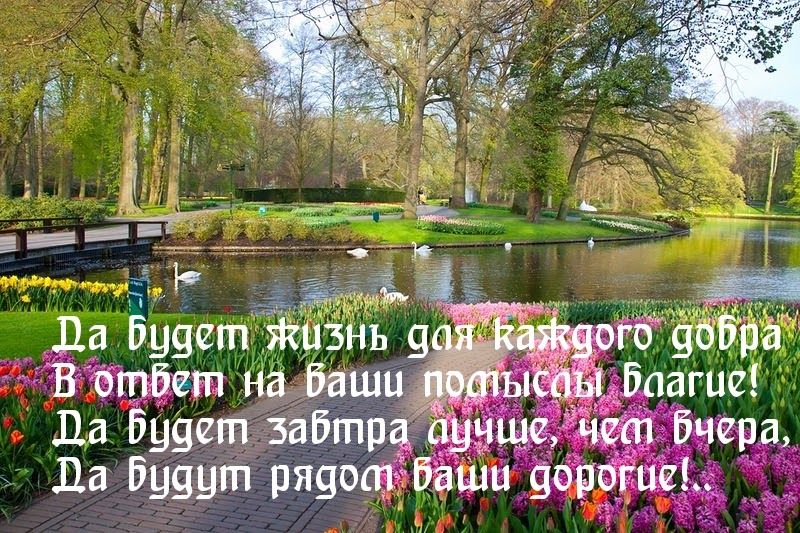 на ащи Да будет забтр Да будут ряяо
