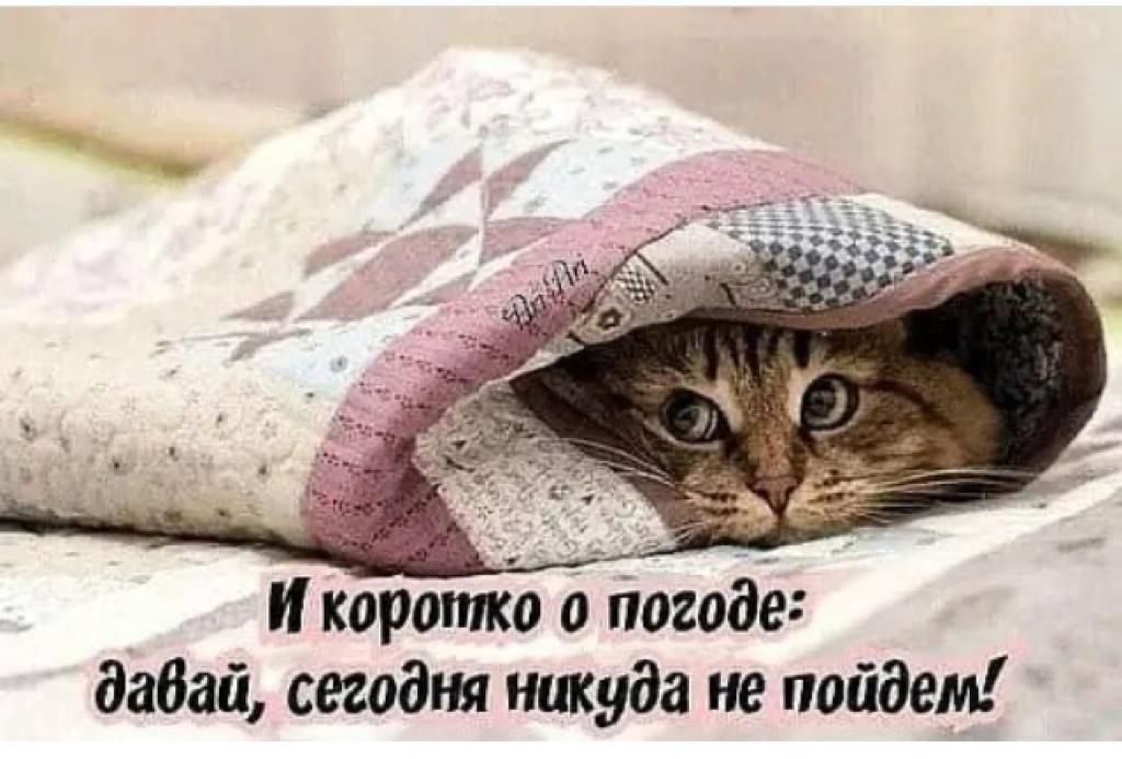 И короппіо о погоде бабай сегодня никуда не пойдет