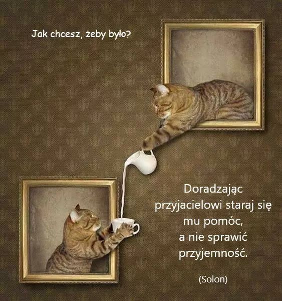 Так степ іеьу Ьуіо 5 шогасііаідс іеіоші зіага зіе тц ротбс а піе 5ргаші ргиуіетпоёб Зоісп