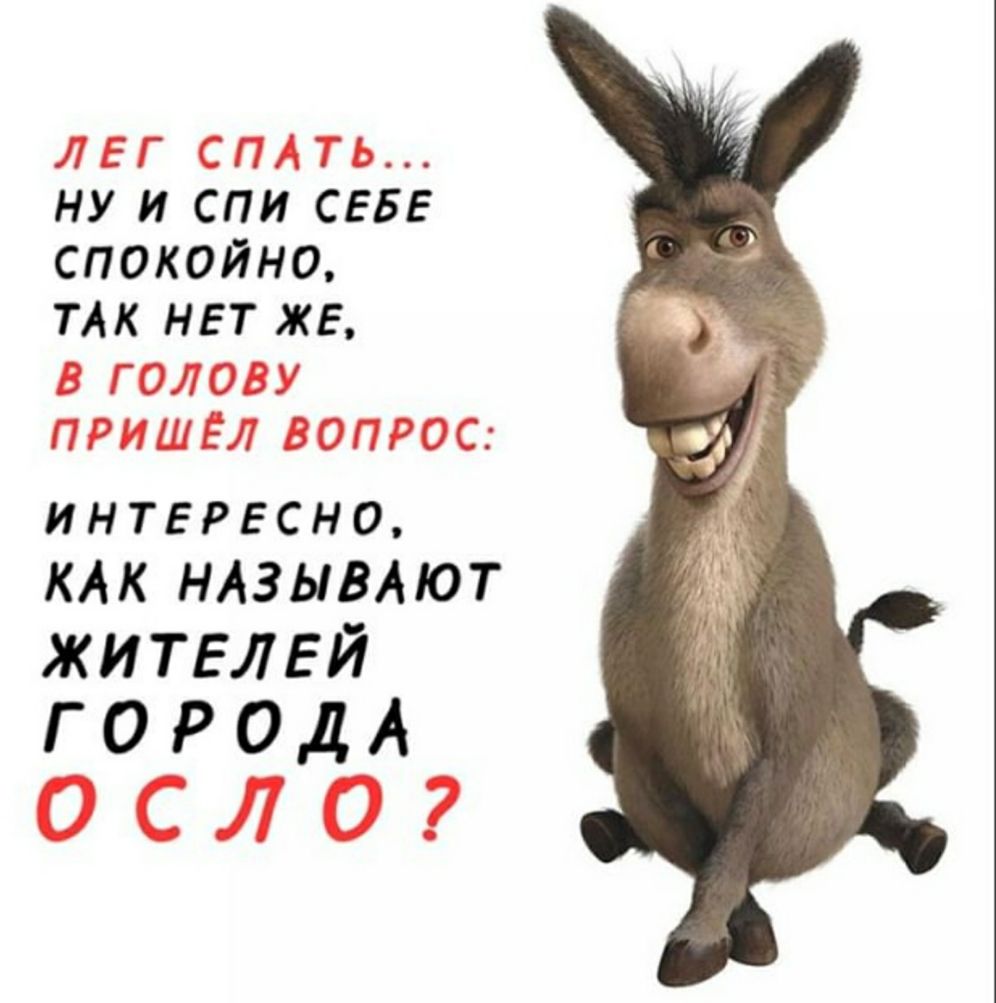 ЛЕГ СПАТЬ НУ И СПИ СЕБЕ СПОКОЙНО ТАК НЕТ ЖЕ В ГОЛОВУ ПРИШЁЛ ВОПРОС ИНТЕРЕСНО КАК НАЗЫВАЮТ жителей ГО Р ОДА ОСЛО