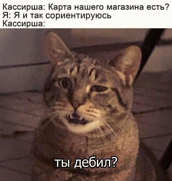 Кассирша Карта нашего магазина есть Я Я и так сориентируюсь Кассирша ты дебил