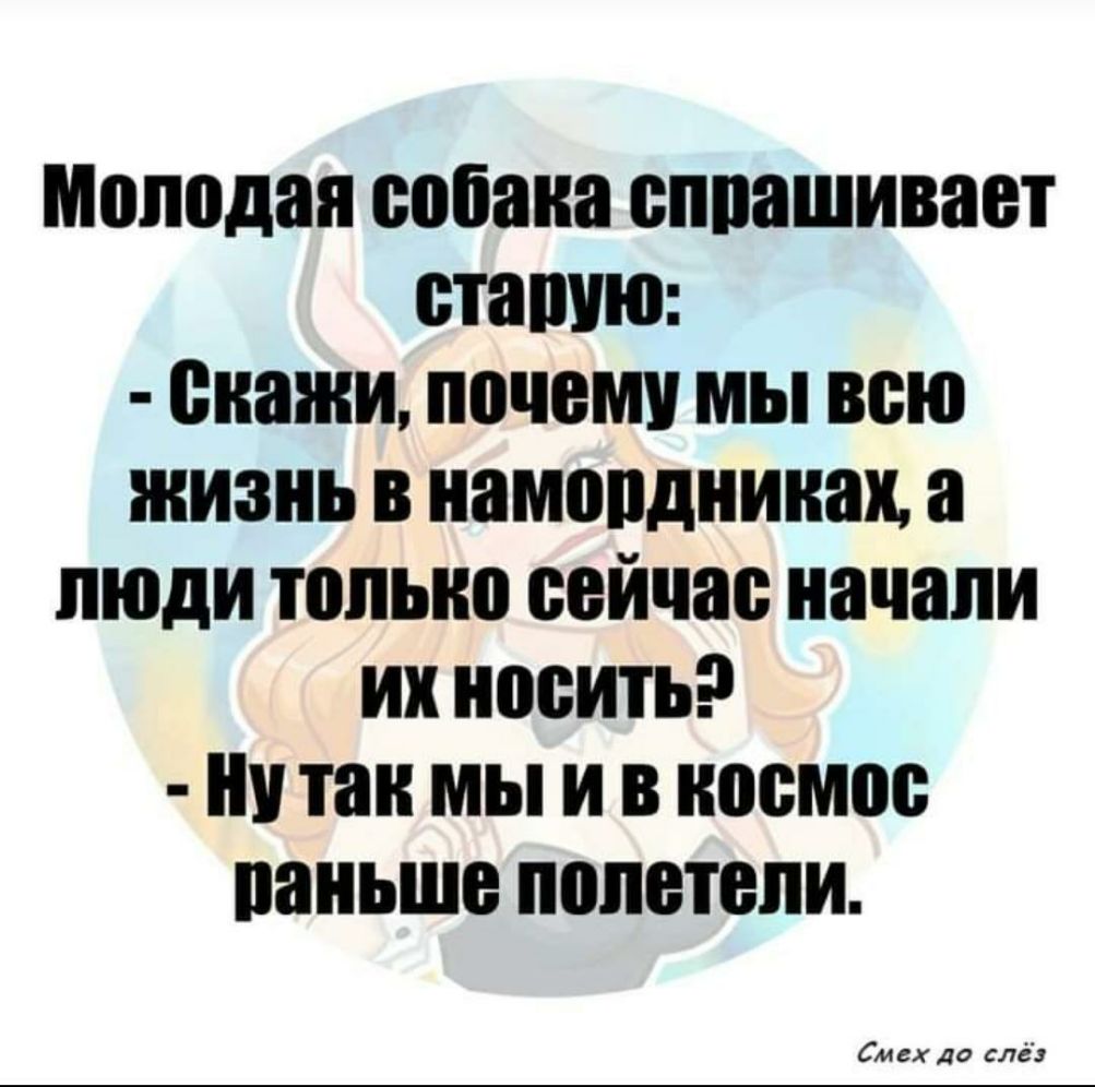 Молодая собака сппашивает сташю скажи почему мы всю жизнь намордники а люди только сейчас начали их носить ну так мы и в космос паньше полетели См ах да сле