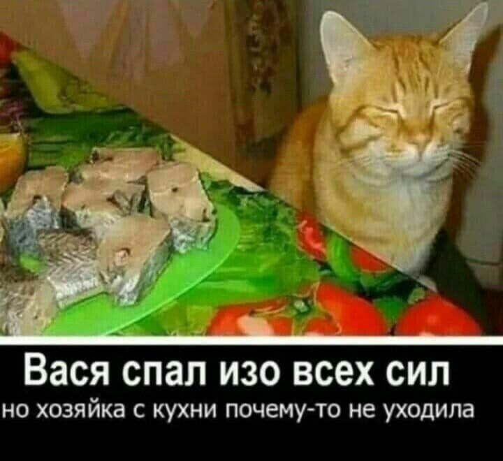 А г _ г г _ _ и г Вася спал изо всех сил НО ХОЗЯЙКЗ С КУХНИ ПОЧЕМУ ТО не уходила