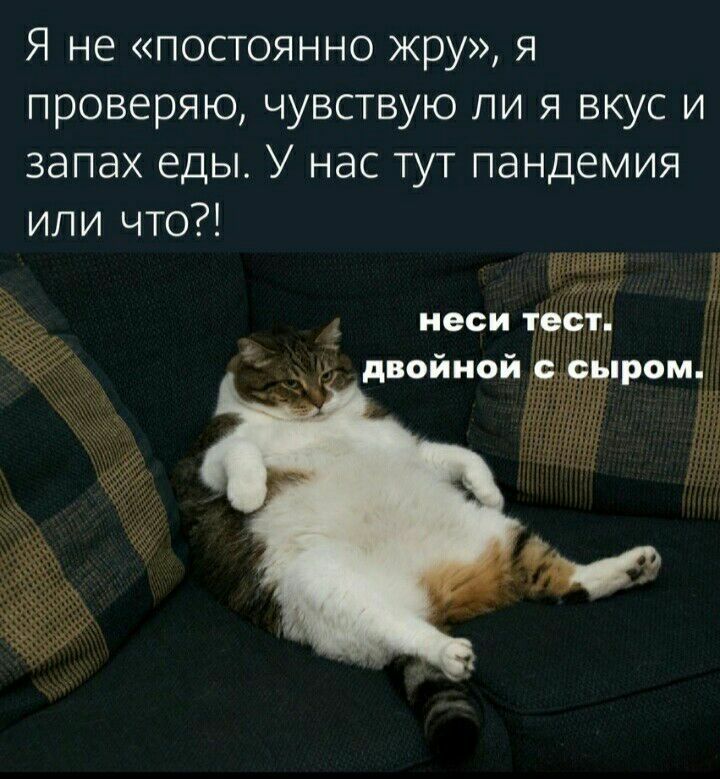 Я не постоянно жру я проверяю чувствую ли я вкус и запах еды У нас тут пандемия или что эмпатии 1 4 неси тест оиноитітпром 4 дв