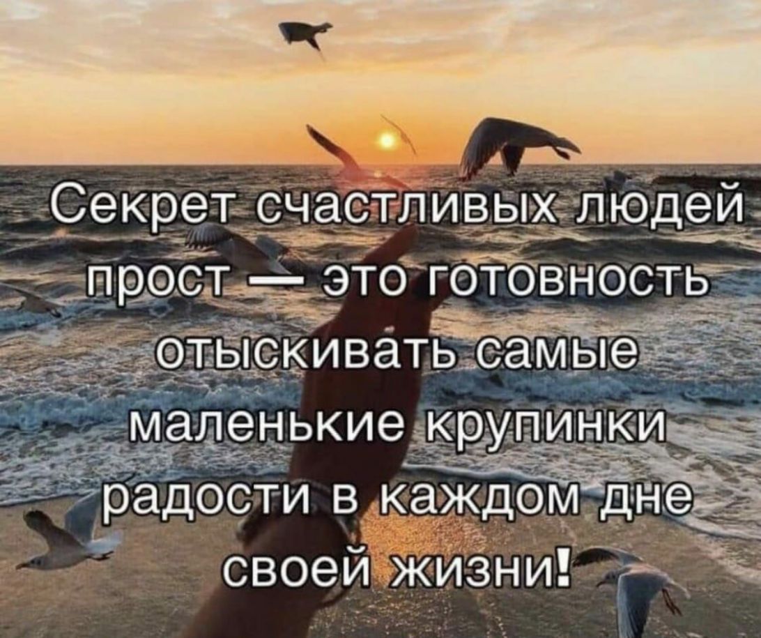 Секрет счастлиёьцелюдеи _в_ _ ЗПРЭСТЁЭТО ГОТОВНОСТЬ _ ___ ь отыскивать самыеызз маленькиеікрупинкиыаЁ Ё Т _ Ё своей жизни Ёё