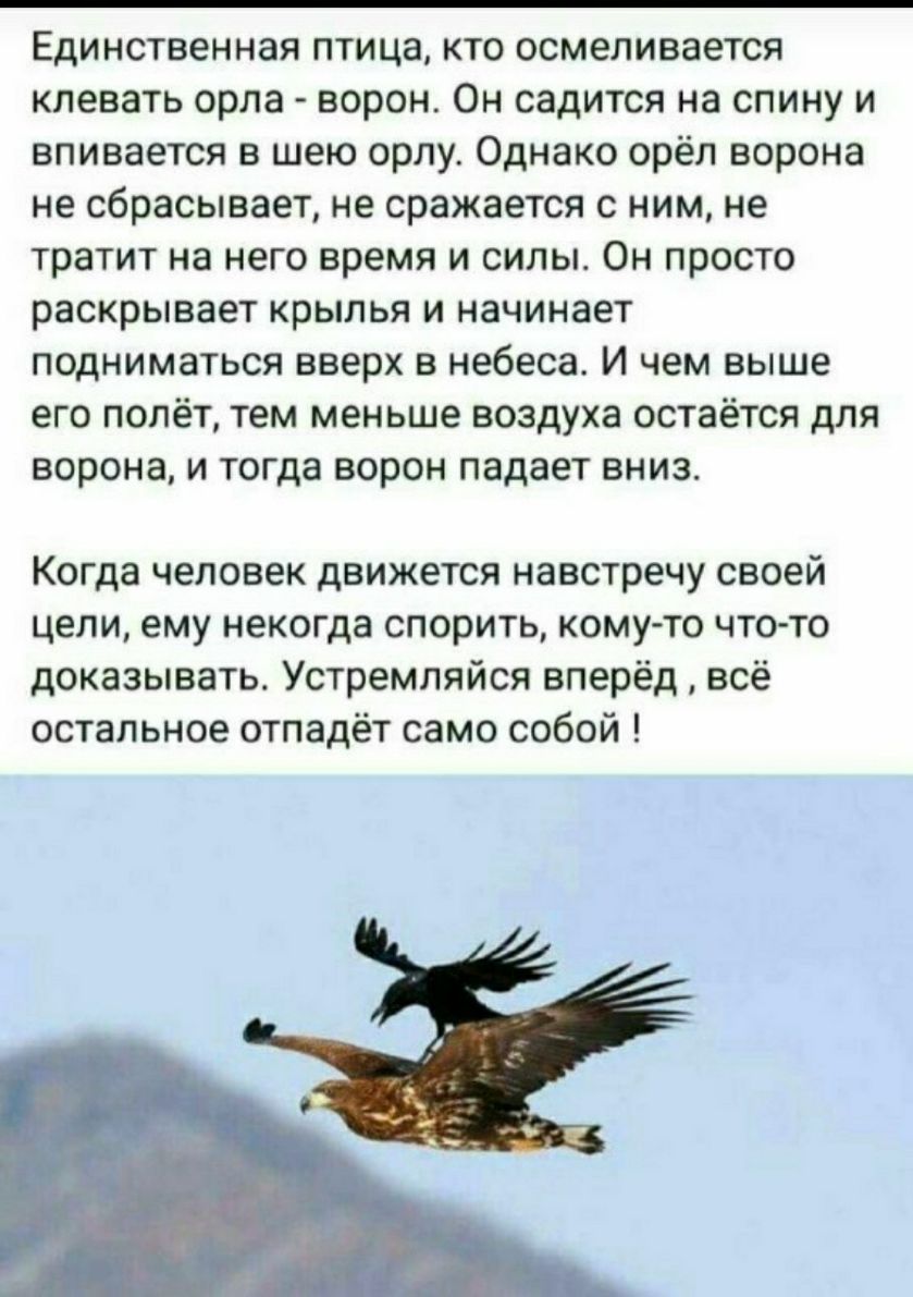 Единственная птица кто осмеливается клевать орла ворон Он садится на спину и впивается в шею орлу Однако орёл ворона не сбрасывает не сражается с ним не тратит на него время и силы Он просто раскрывает крылья и начинает подниматься вверх в небеса И чем выше его полёт тем меньше воздуха остаётся для ворона и тогда ворон падает вниз Когда человек движется навстречу своей цели ему некогда спорить ком