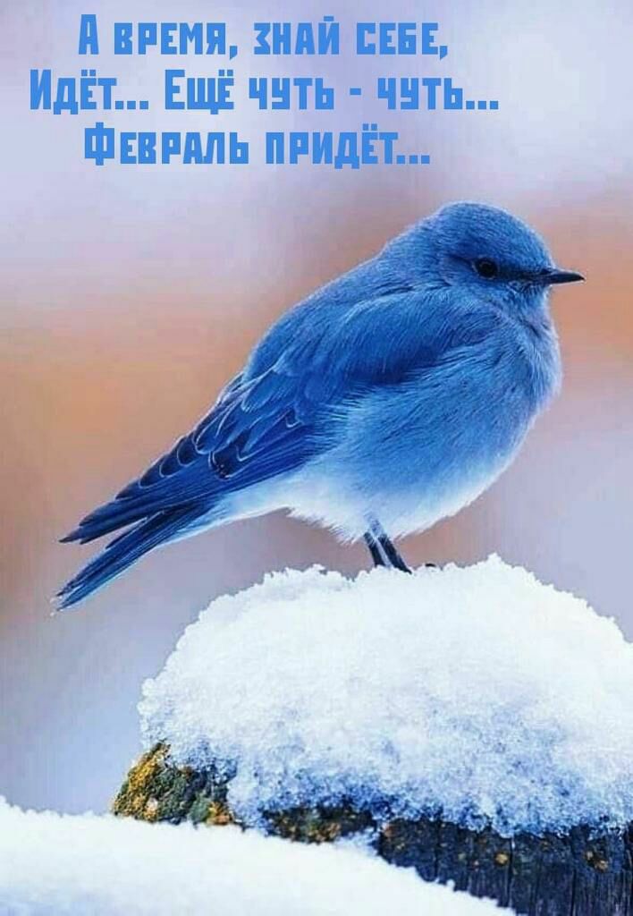 и тип нпй шв ИдЁт ЕЩЁ чить чить Шпиль придёт
