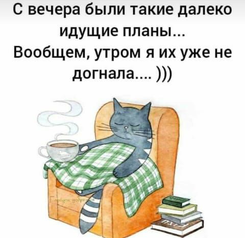 С вечера были такие далеко идущие планы Вообщем утром я их уже не догнала