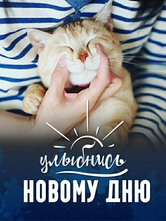 новоМу дню
