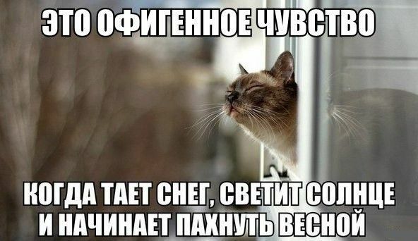 зто пфщінноіч Еччв всвоі ЕЕ НПГДА ТПЕТ ВНЕ ВВЕТИТ ЕЮШЩЕ И НАЧИНАЕТ_ ПЁХНШЪЬ ВЕЫЮЙ