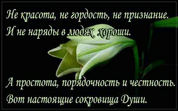 Ле красота не гордость не признание И не наряды в м Я простота по ядочность и честность Зет настоящие сокровища души