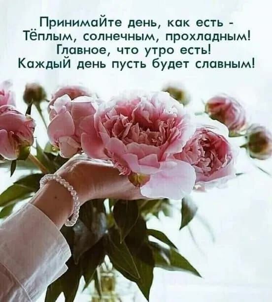 Принимайте день как есть Тёппым солнечным прохладнымі Главное что утро есть Каждый день пусть будет славным