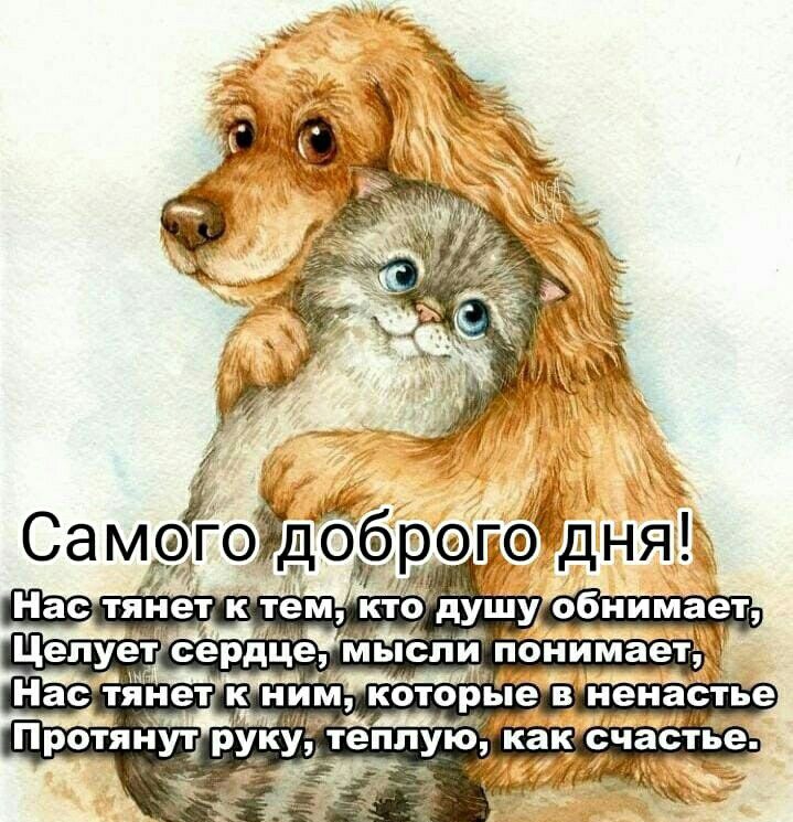 И Са м9гоЁдобргЁдня Нас тянет к тем ЁУшу обнимает мыслпй понимает