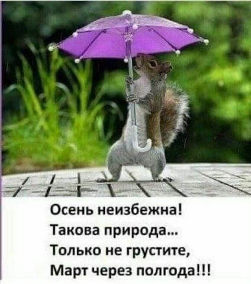 Осень неизбежна Такова природа Только не грустите Март через полгода