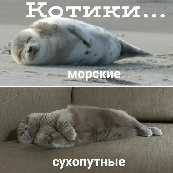 Сухопутные