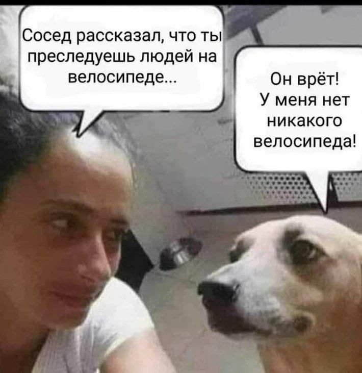 Сосед рассказал что ты преследуешь людей на велосипеде Он врёт У меня нет никакого велосипеда