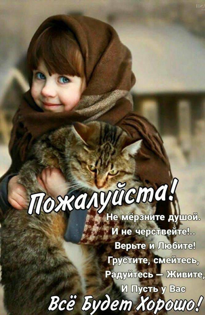 Всё ЖудетХороо