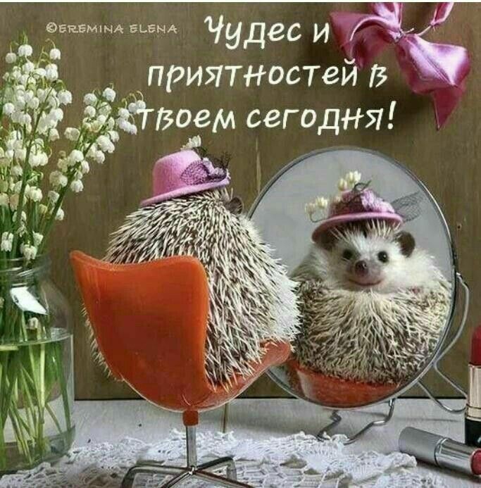 Рвнвмшдвьвыд Чудес и ч 7 приятностей в