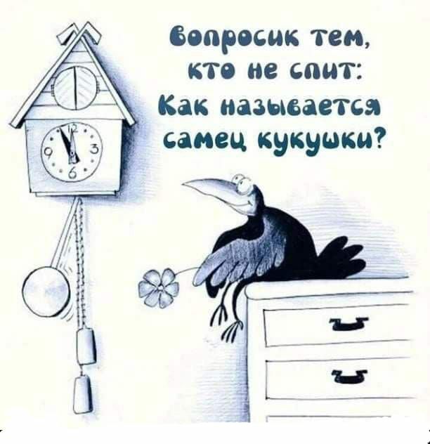 вопросик тем кто не спит Как называется самец кукушки