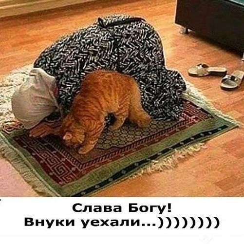 Слава Богу Внуки уехали