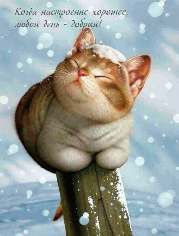 Кода настроение хоротес, иодол день  доддви!