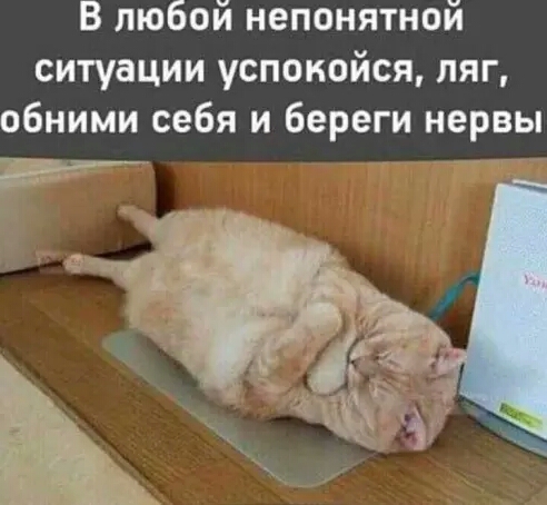 В любой непонятной ситуации успокойся пяг обними себя и береги нервы