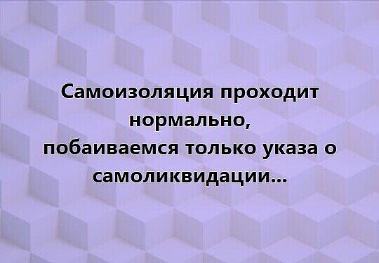 СаМОИЗОЛЯЦИЯ ПРОХОДИТ НОРМЗЛЬНО побаиваемся ТОЛЬКО указа 0 СЭМОЛИКВИДЗЦИИ